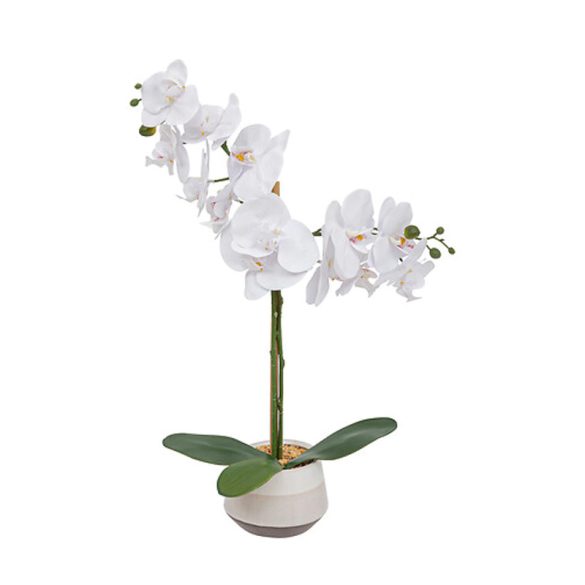 Műorchidea kaspóval, fehér, 198224