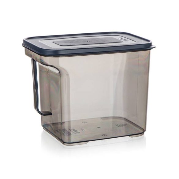BANQUET ZOYA tárolódoboz fogantyúval, 2,75L 55077473