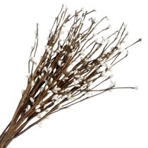   30 darabos Mesterséges Fehér Bogyós Ág Készlet – 40 cm TQ1165832